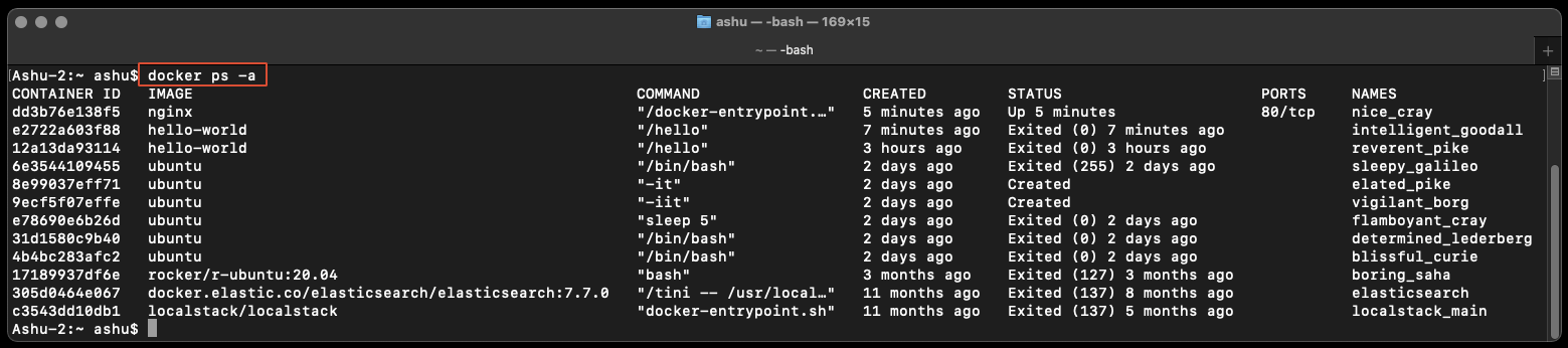 docker ps -a command running